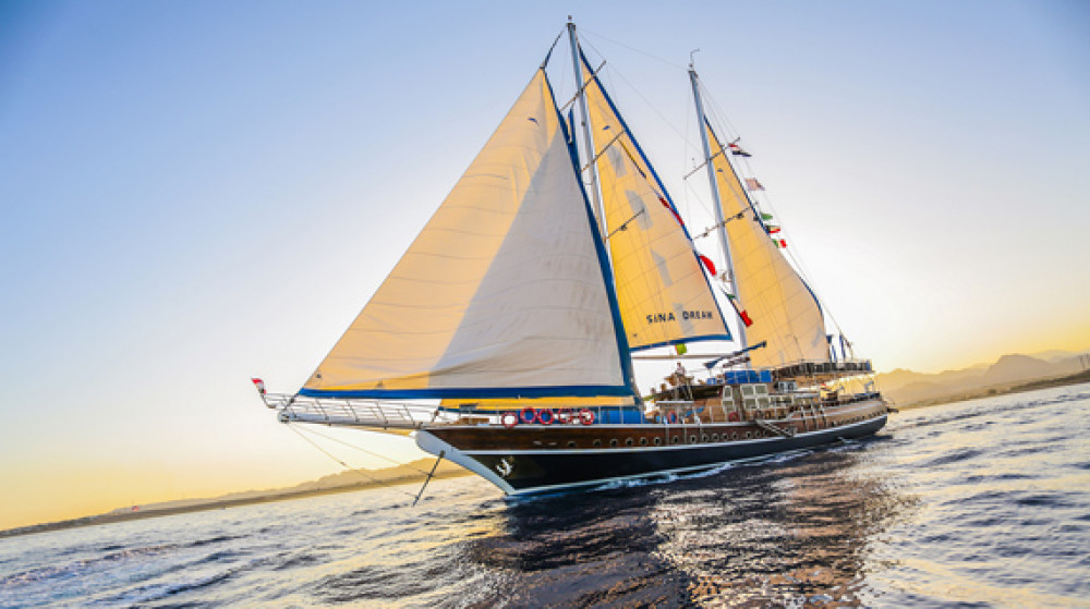 Red Sea Rendezvous: Dinner Cruise + Oriental Show & Seafood Feast