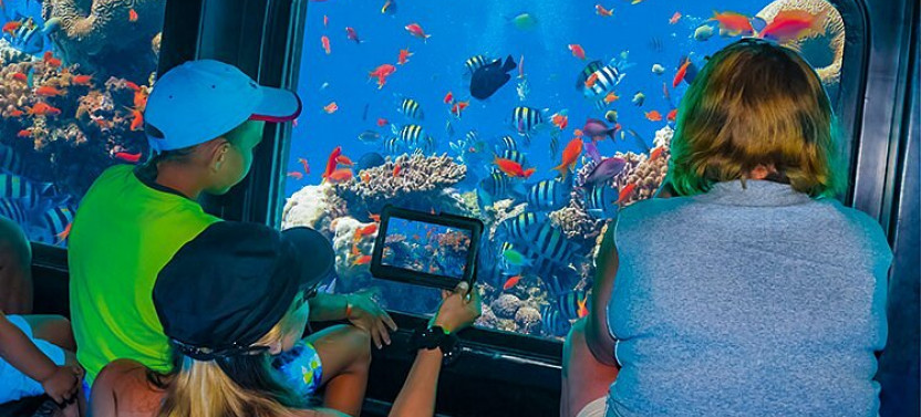 Semi-Submarine: Family adventure to explore underwater world of the Red Sea