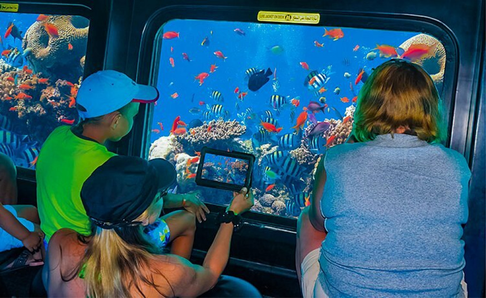 Semi-Submarine: Family adventure to explore underwater world of the Red Sea