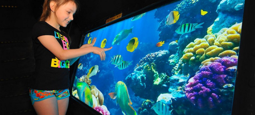 Semi-Submarine: Family adventure to explore underwater world of the Red Sea