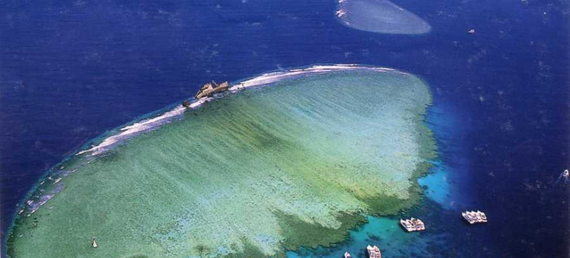 Snorkeling Trip to Tiran Island from Sharm El Sheikh