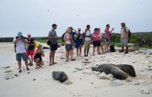 8 Day Galapagos Sail on M/S Beagle - North Western Islands