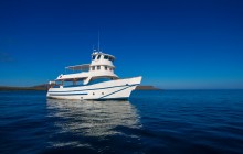 8 Day Naturalist Tour on M/Y Danubio Azul