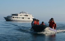8 Day Galapagos Cruise on M/C Millennium - Itinerary B