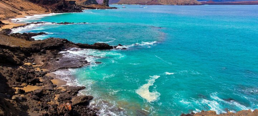 7-Day Galapagos Guided Food Tour with Accommodation