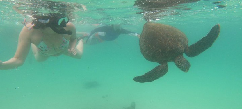 4-Day Galapagos Experience: Los Tuneles, Bay Tour + Extra night