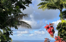 Chukka Caribbean Adventures - Barbados50
