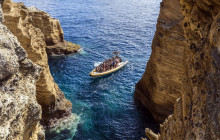 Azores Whale Watching TERRA AZUL5