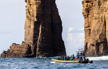 Azores Whale Watching TERRA AZUL8