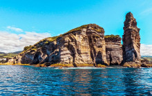 Azores Whale Watching TERRA AZUL9