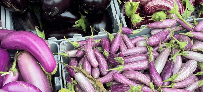 Jean-Talon Market Food Tour in Montreal with Local Guide