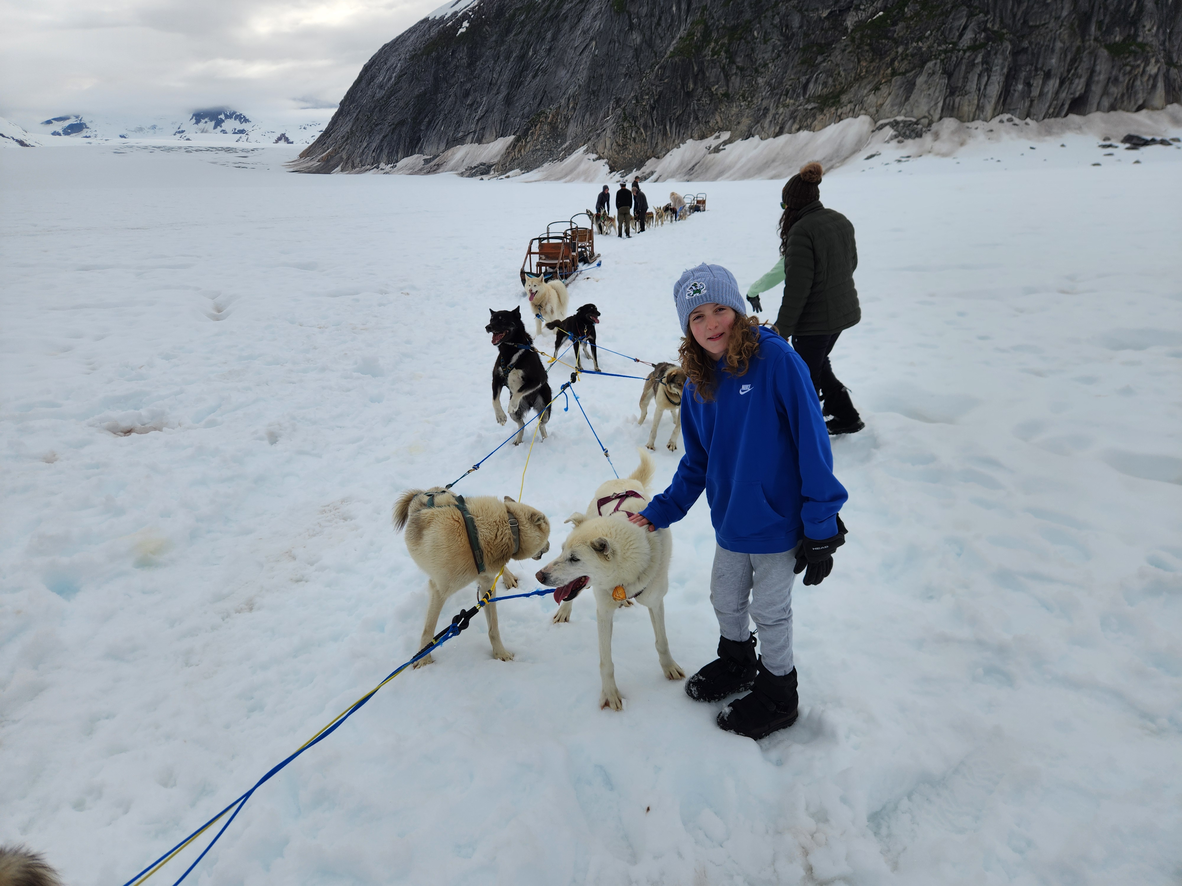 Norris Glacier Dog Sled Adventure Juneau Project Expedition