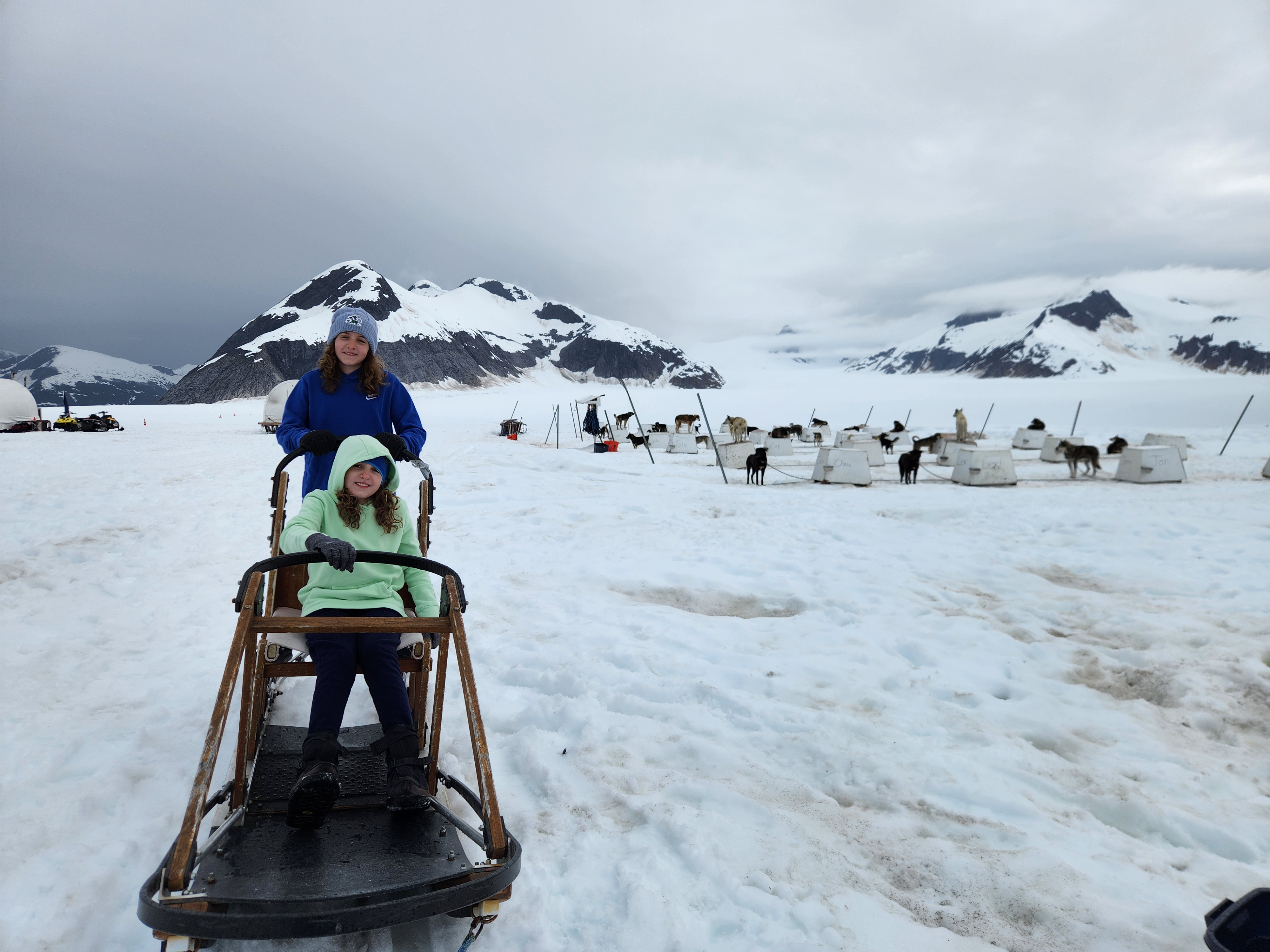Norris Glacier Dog Sled Adventure - Juneau | Project Expedition
