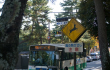 Pinpoint Traveler6