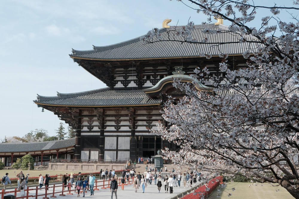 Nara Heritage Walkabout From Nara Park To Todaji Temple
