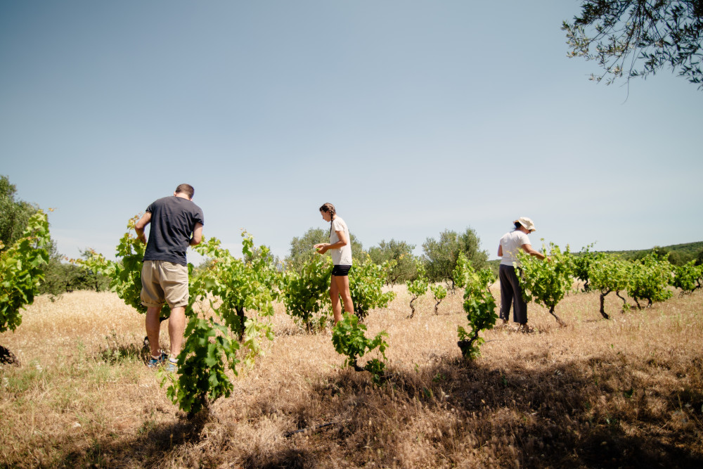 Green Dreams at Eumelia: Discovering the Heart of Harmonious living