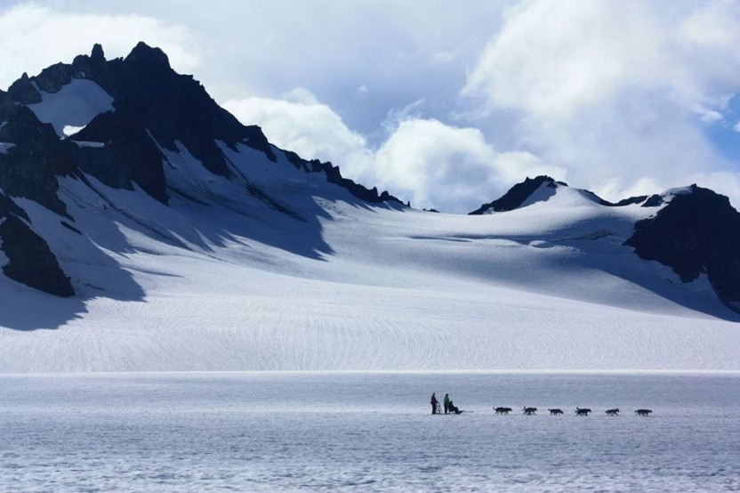 Helicopter with Glacier Landing & Dog Sledding