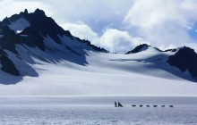 Helicopter with Glacier Landing & Dog Sledding