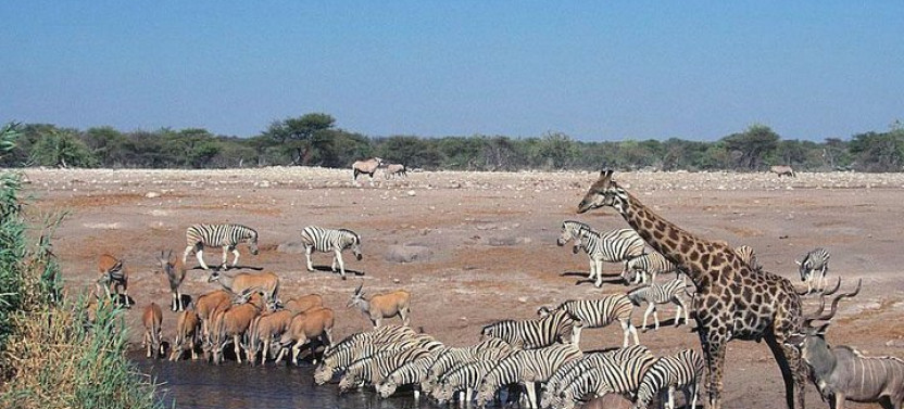 16-Day Namibia Highlights Accommodated Tour