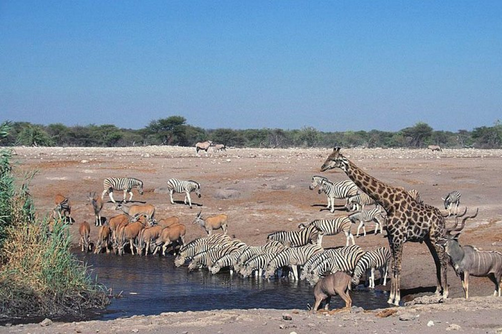 16-Day Namibia Highlights Accommodated Tour