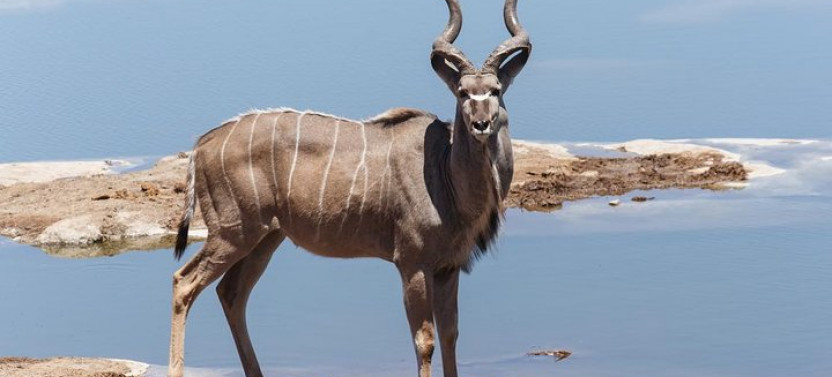 16-Day Namibia Highlights Accommodated Tour