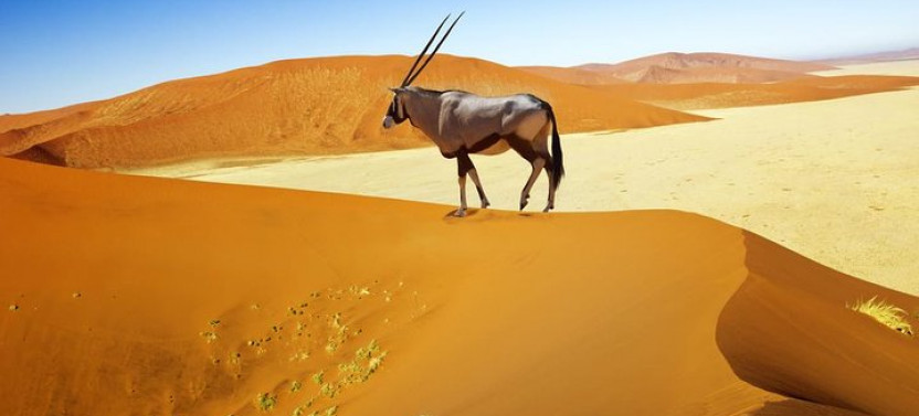 10 Day Namibia Exploration Tour