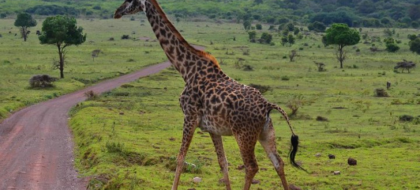 10 Day Namibia Exploration Tour