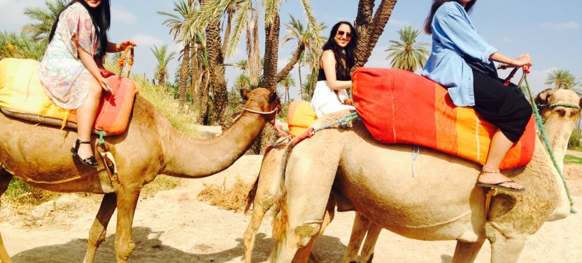 Camel Ride & Quad Bike in Marrakech Palm Groves with Tea Break