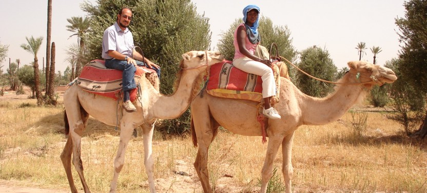 Camel Ride & Quad Bike in Marrakech Palm Groves with Tea Break