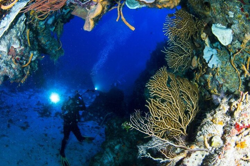 Underwater Museum & Reef Dive in Cancun