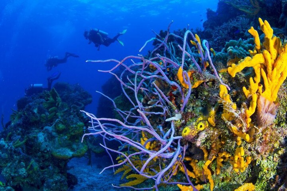 SAT Mexico tours and travel