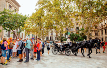 No Frills Excursions1