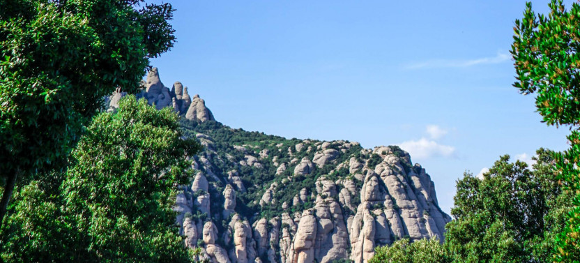 Expert-Led Montserrat Day Trip From Barcelona, photo 2 of 3