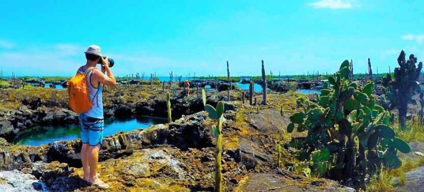 7-Day Galapagos Island Hopping Tour: Tortuga Bay, Tintoreras, Wildlife