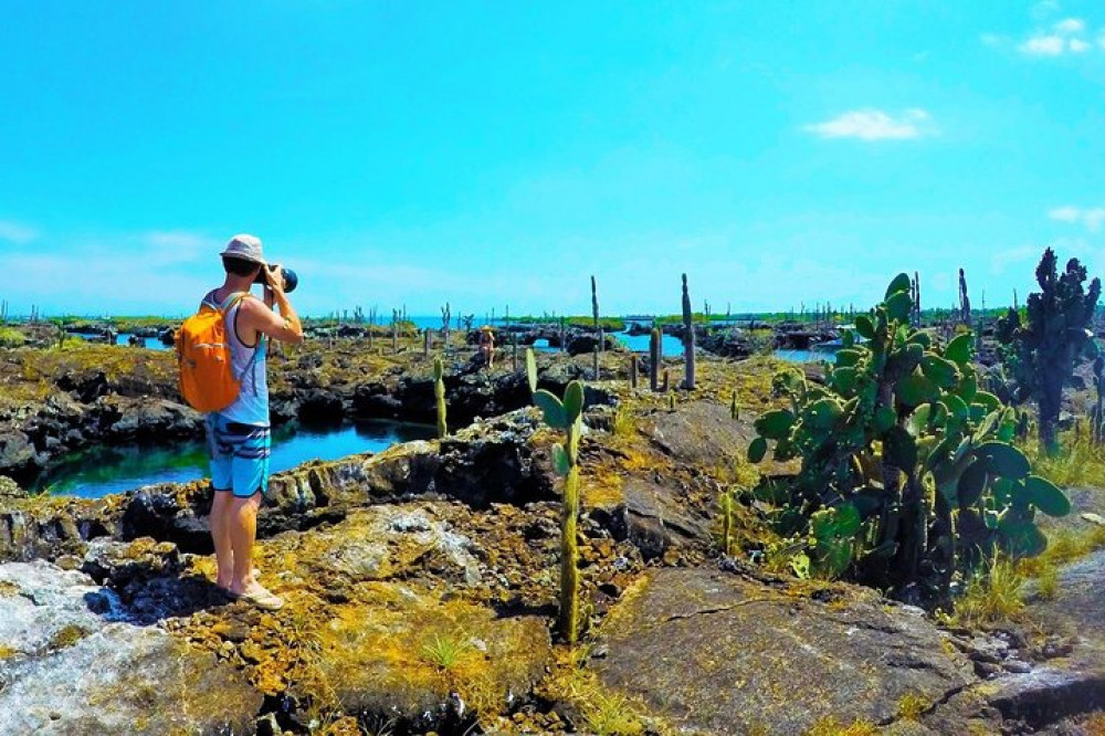 7-Day Galapagos Island Hopping Tour: Tortuga Bay, Tintoreras, Wildlife