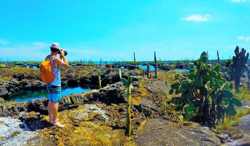 A picture of 7-Day Galapagos Island Hopping Tour: Tortuga Bay, Tintoreras, Wildlife