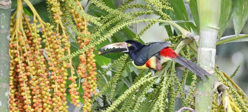 Private 8-Day Costa Rica Luxury Tour