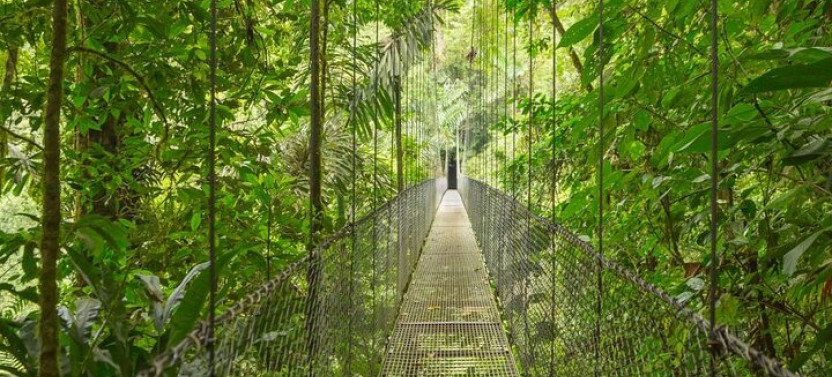 Private 8-Day Costa Rica Luxury Tour
