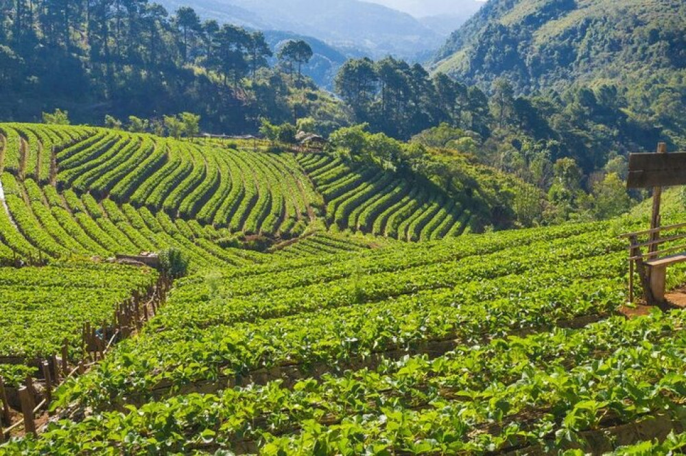 Rebecca Adventure Travel