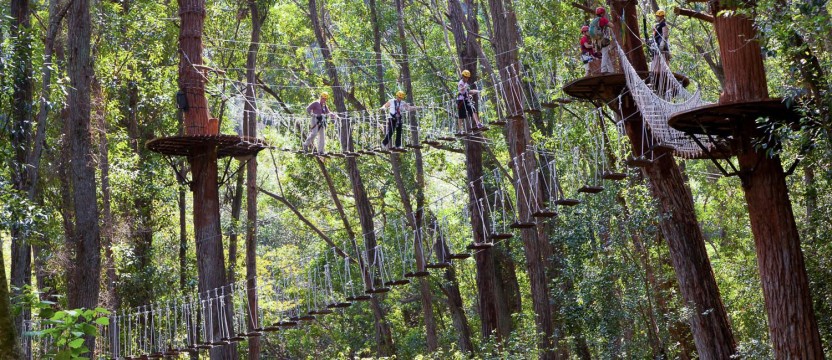 Kohala Canopy Adventure