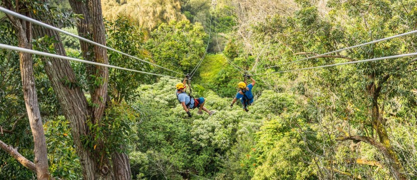 Kohala Canopy Adventure