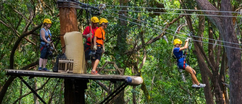 Kohala Canopy Adventure