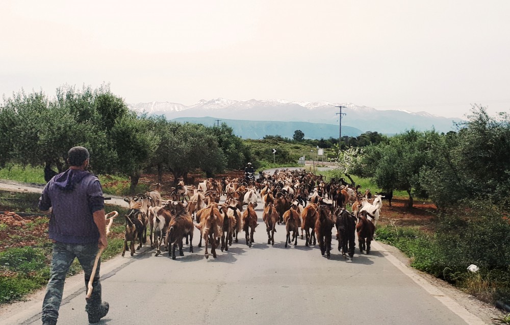 The 7 Villages Of Apokoronas Tour - Explore East Chania Mainland