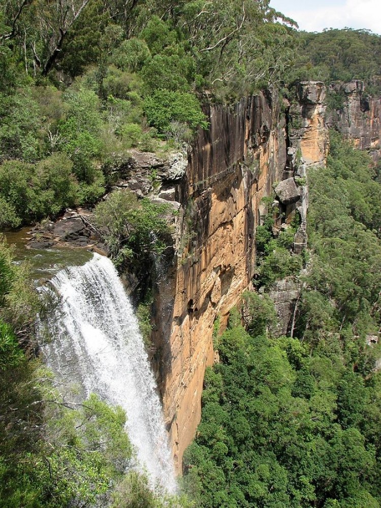 Fitzroy Falls Sights & Attractions Project Expedition
