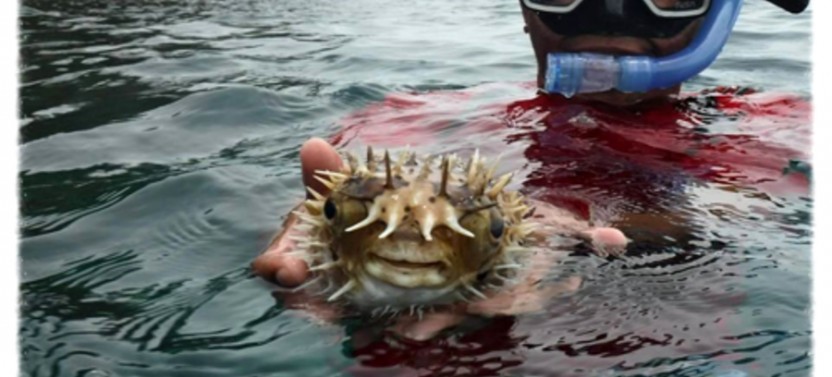 Private Snorkeling Tour Half Day