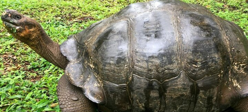 9-Day Galapagos Islands Family Friendly Tour with Kids