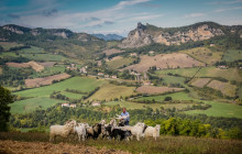 Arcadia Emme Viaggi srl1