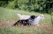 Arcadia Emme Viaggi srl4