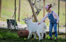 Arcadia Emme Viaggi srl8