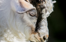 Arcadia Emme Viaggi srl9